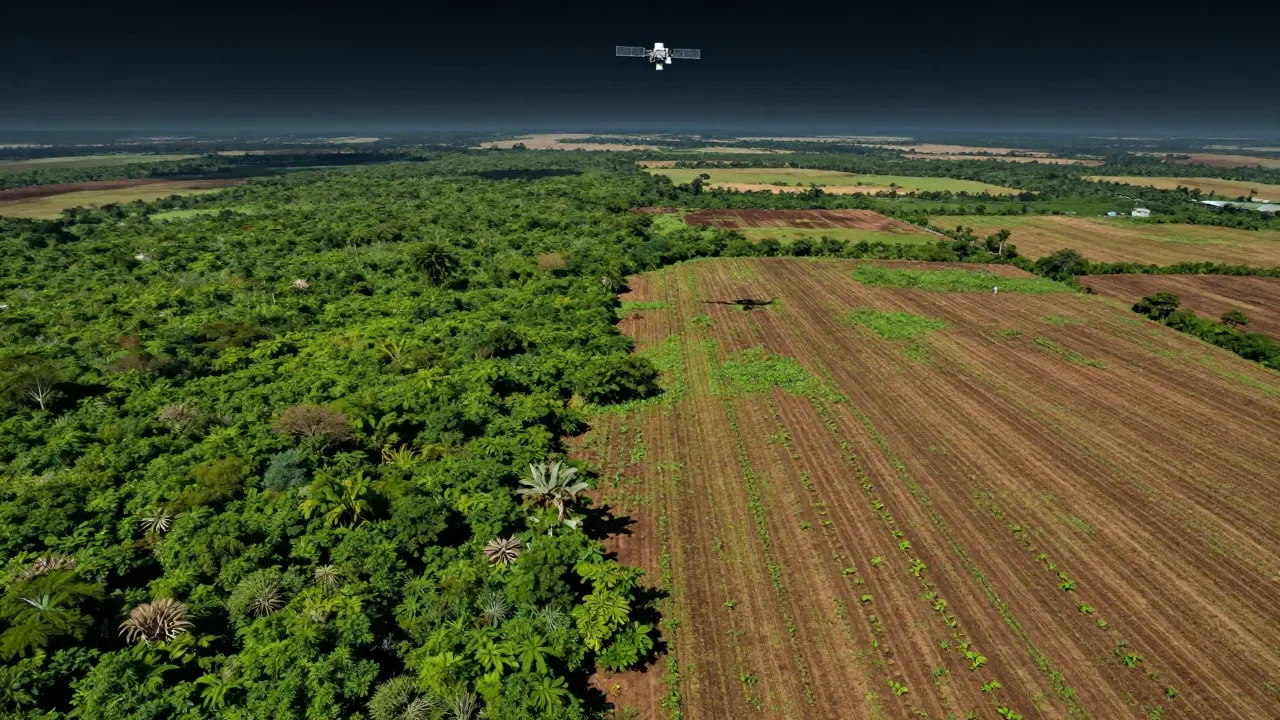 IA identifica mais de 13 mil hectares de áreas agrícolas abandonadas no Cerrado - Imagem complementar
